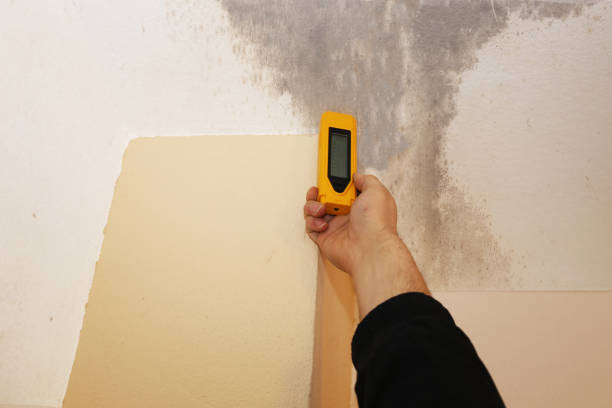 Best Indoor Air Quality Assessment  in Burlington, KY