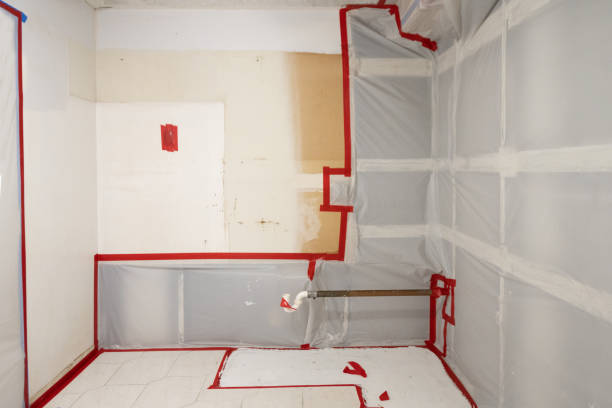 Best Attic Mold Removal  in Burlington, KY