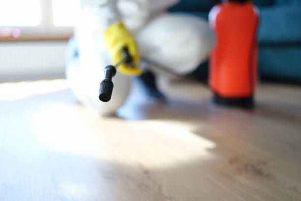 Best HVAC Mold Inspection and Cleaning  in Burlington, KY