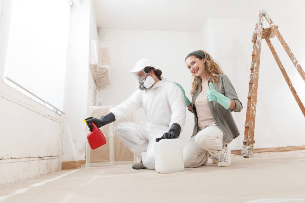 Best Environmental Consulting for Mold Prevention  in Burlington, KY