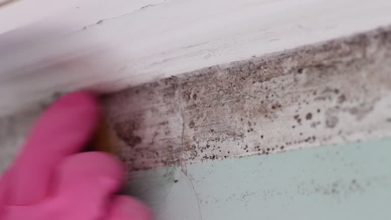 Best Post-Remediation Verification Testing  in Burlington, KY